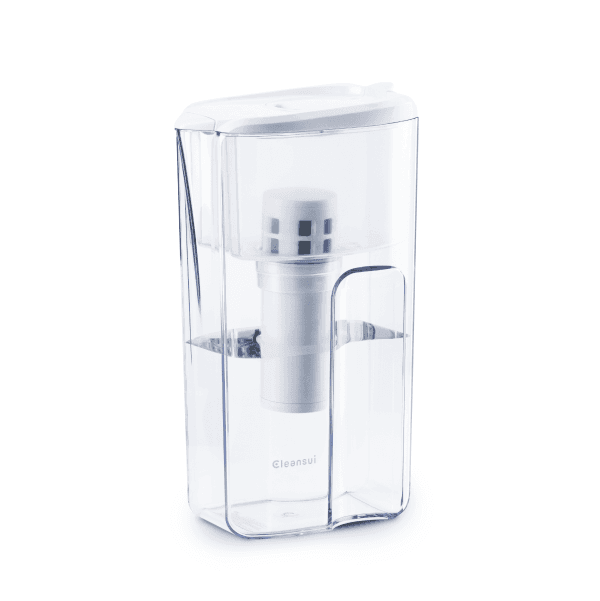 Bình lọc nước cầm tay - ảnh 2