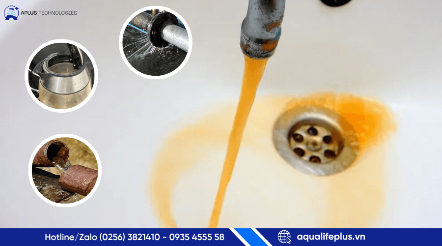 Nước Máy Có Uống Được Không? 5 Sự Thật Bạn Cần Biết
